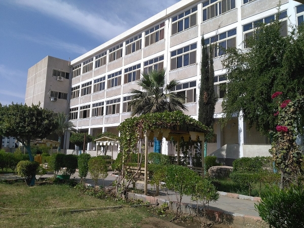 Aswan University