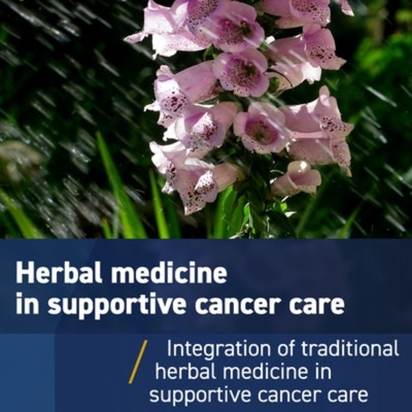 Traditional herbal medicine in supportive cancer care: From alternative to integrative