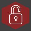 Cybersecurity for Business