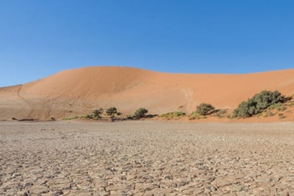 Desertification: Problems and Solutions