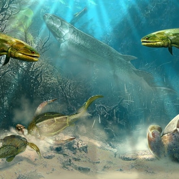 Paleontology: Early Vertebrate Evolution