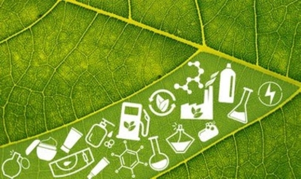 Biobased Products for a Sustainable (Bio)economy