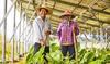 Climate Action in Biodiverse Landscapes