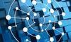 Cybersecurity Capstone