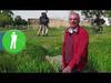 Drainage in Agriculture: controlling water and salt levels in the soil