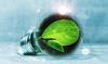 From Fossil Resources to Biomass: A Business and Economics Perspective