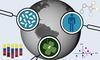 How to analyze a microbiome