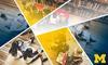 Leading Ambitious Teaching and Learning