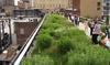 Nature Based Metropolitan Solutions