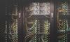Network and Security Foundations