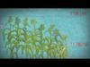Sustainable Food Security: The value of systems thinking