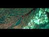 Tropical coastal ecosystems