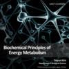 Biochemical Principles of Energy Metabolism