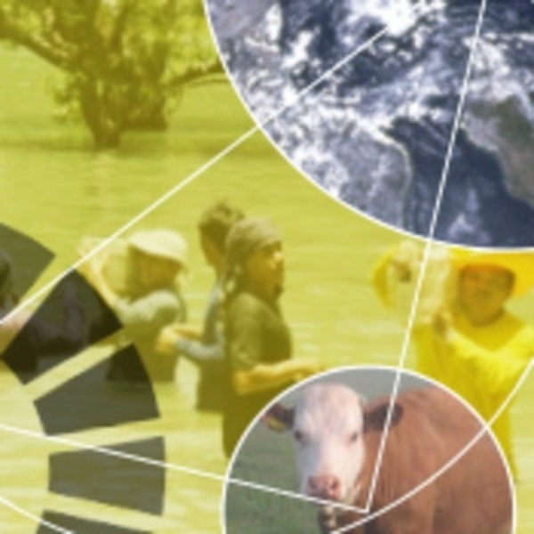 The Sustainable Development Goals – A global, transdisciplinary vision for the future
