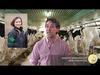 Mastitis epidemiology and diagnostic
