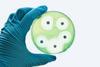 Using Infection Control to Combat Antimicrobial Resistance