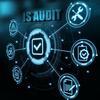 Information Systems Auditing, Controls and Assurance