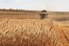 Innovation in Arable Farming: Technologies for Sustainable Farming Systems