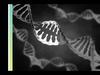 MedTech: Exploring the Human Genome