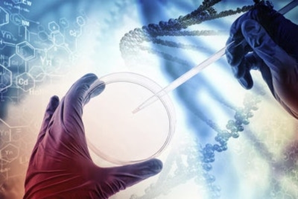 Genomic Technologies in Clinical Diagnostics: Molecular Techniques