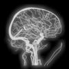 Fundamental Neuroscience for Neuroimaging