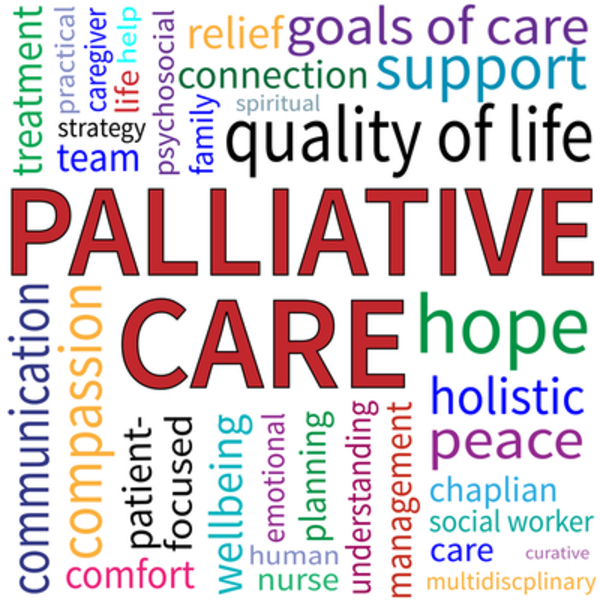 Palliative Care Always Capstone Course