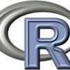 The R Programming Environment