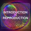 Introduction to Reproduction