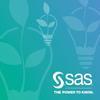 SAS Programmer