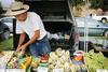 Social Enterprise: Turning Ideas into Action