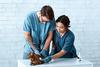 Virtual Work Experience and Exploring the Veterinary Profession