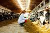 Veterinary Practitioners and the Food Supply Chain