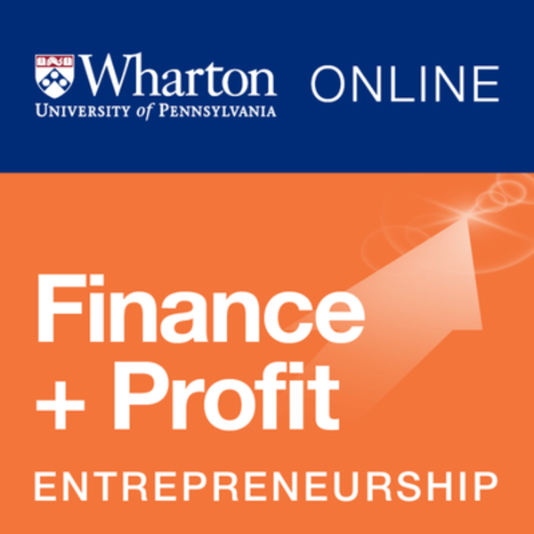 Entrepreneurship 4: Financing and Profitability