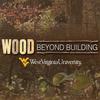 Wood Science: Beyond Building