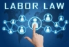 LABOUR LAW AND ENTERPRISES IN THE INTERNATIONAL CONTEXT
