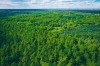 European Forestry
