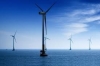 Specialized Master® Expert in Marine Renewable Energies
