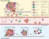 Biochemistry: Molecular Mechanisms of Tumors