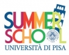 Summer School University of Pisa