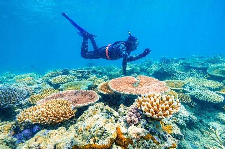 Peter-Harrison-at-Lizard-Island20211125_11-low-res-720x475