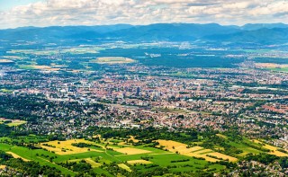 Scientists call for a tree planting drive to help tackle heatwaves