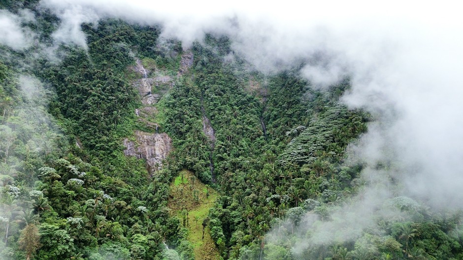 natu-plant-extinction-ecuador-940x529