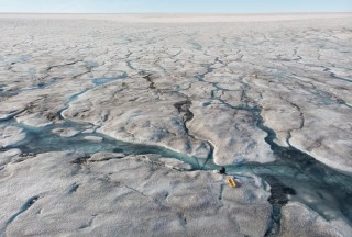 Resilient algae may speed up Greenland ice melt