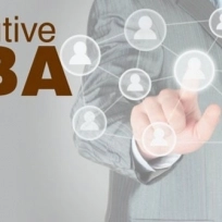  IE Brown Executive MBA