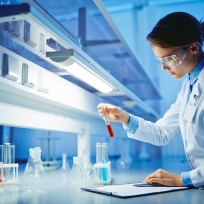 MSc Industrial Biotechnology